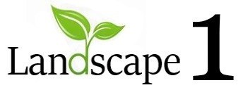 Landscape One